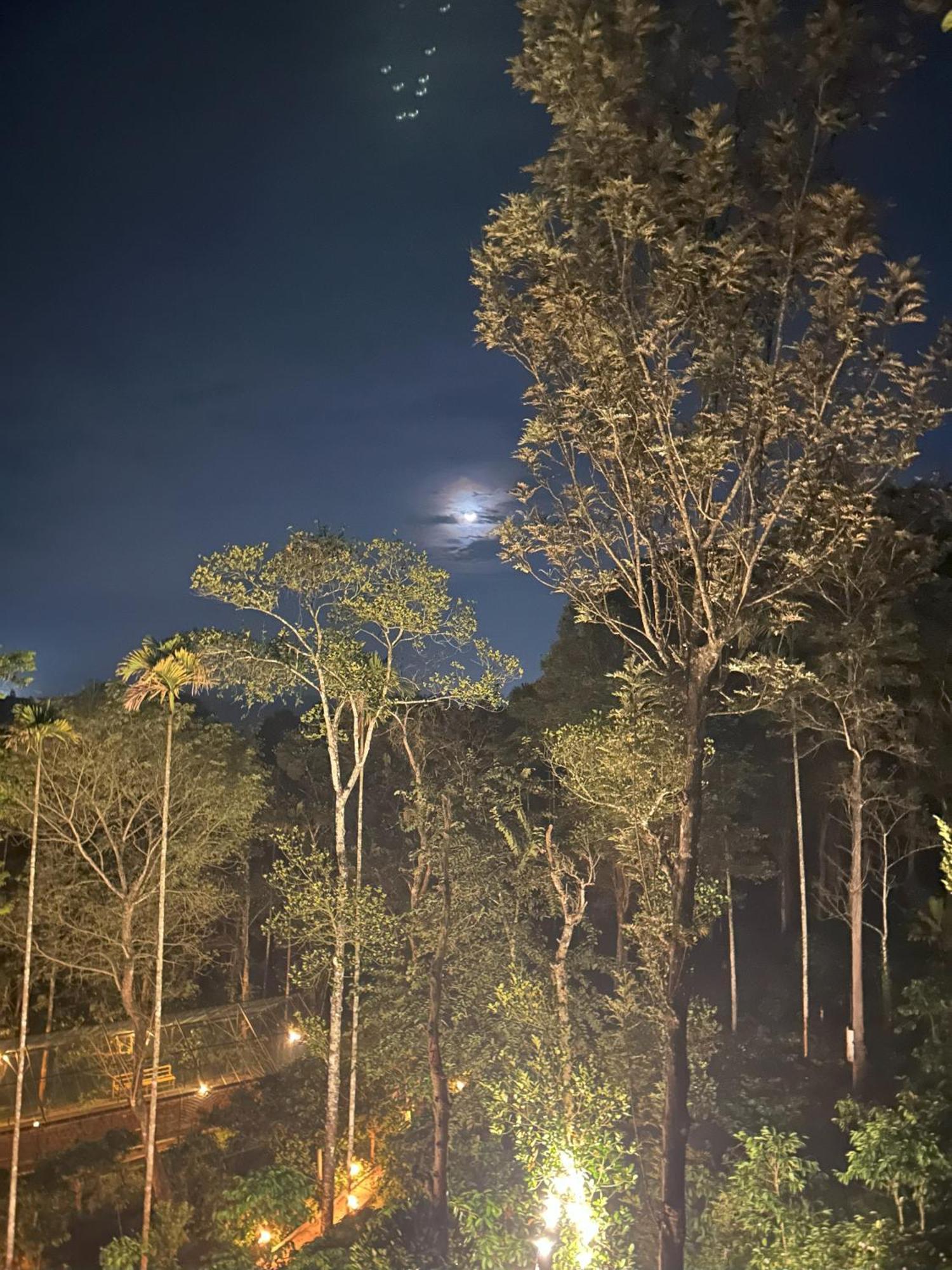 Sylvan Resort 와야나드 외부 사진